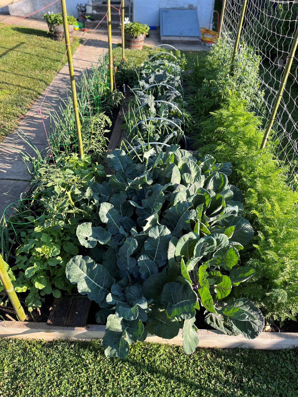 Living Soil Nutrient Pack